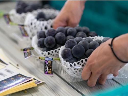 長野県の農産物が購入できるＥＣサイト